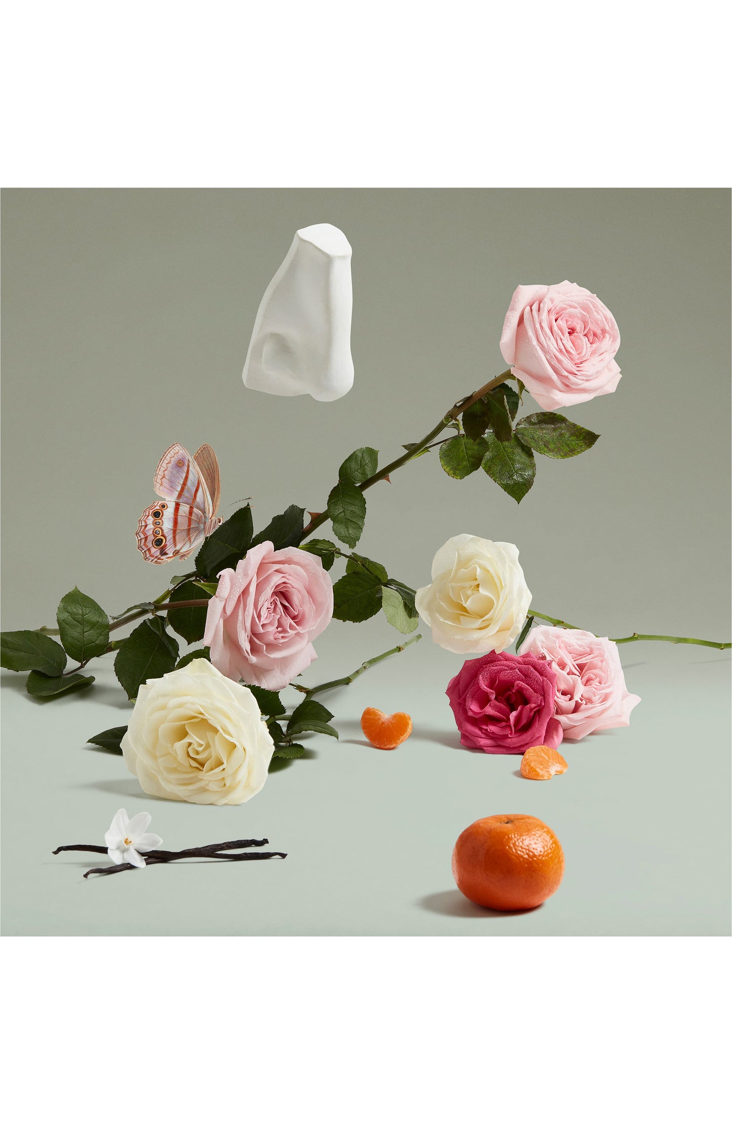 Coveted Duchess Rose Eau de Parfum PENHALIGON's