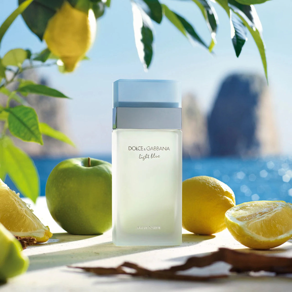 Dolce & Gabbana Light Blue Eau de Toilette