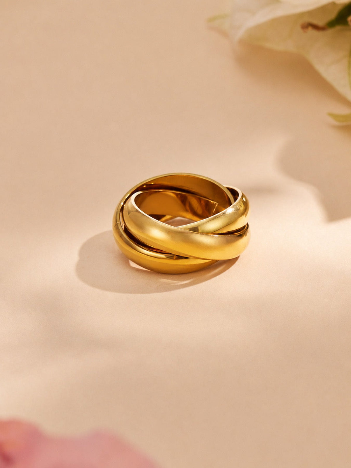 Trielle silver ring with three interlocking bands, 316L stainless steel — Crown Crest Jewel