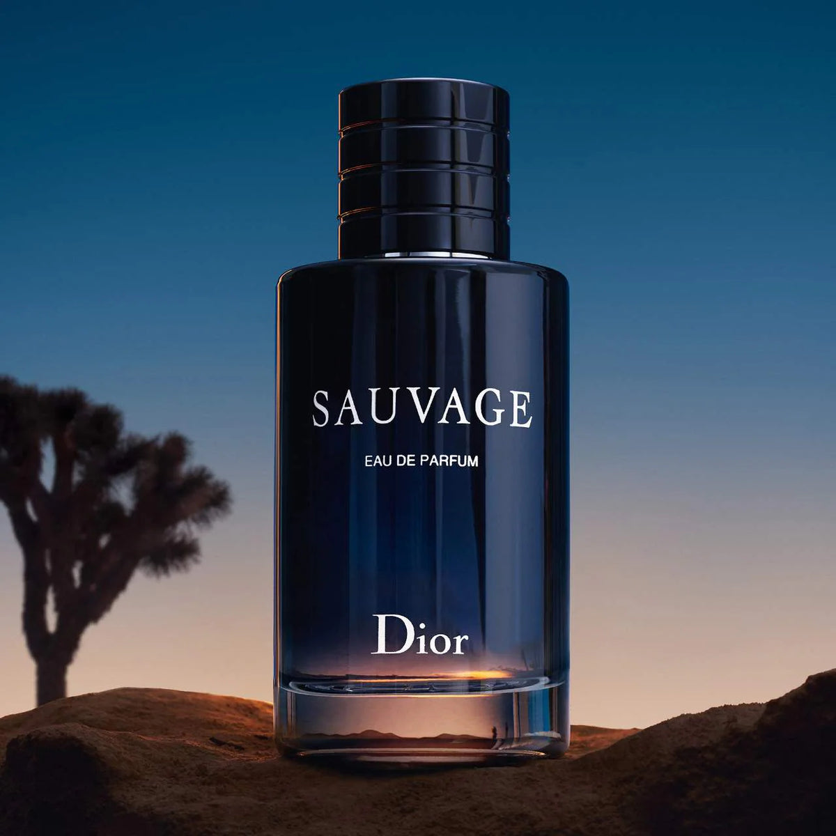 Sauvage Eau de Parfum Dior