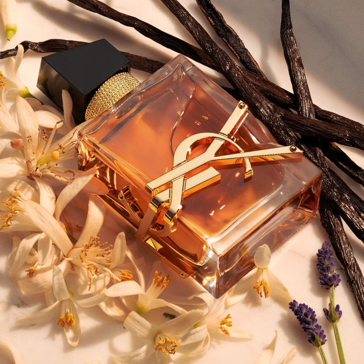 Libre Eau De Parfum Intense YVES SAINT LAURENT