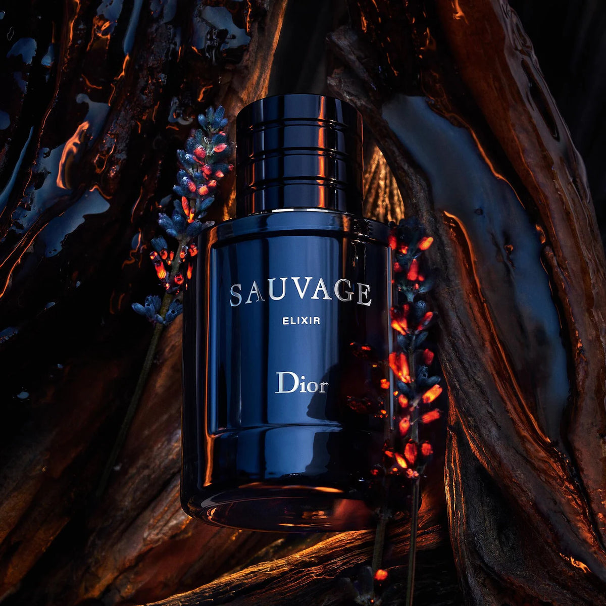 Sauvage Elixir Fragrance Dior