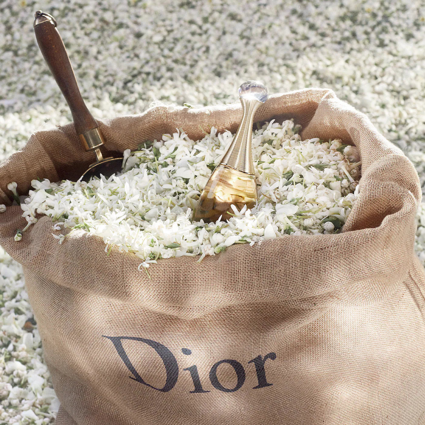 J'adore Eau de Parfum Dior